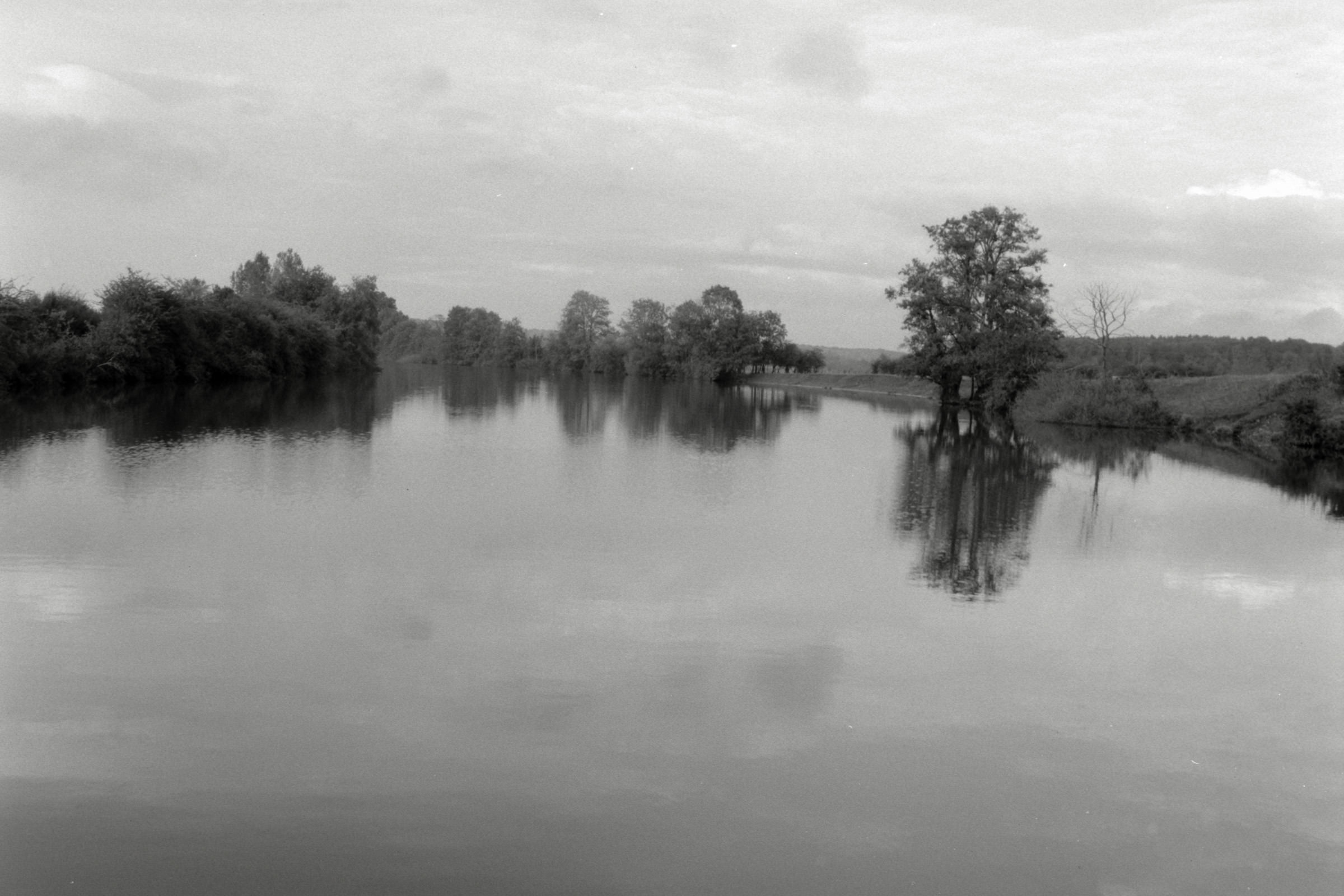 AHP F1990 09 005 sc250506 img15 NLP